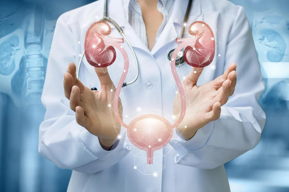 especialista en urologia