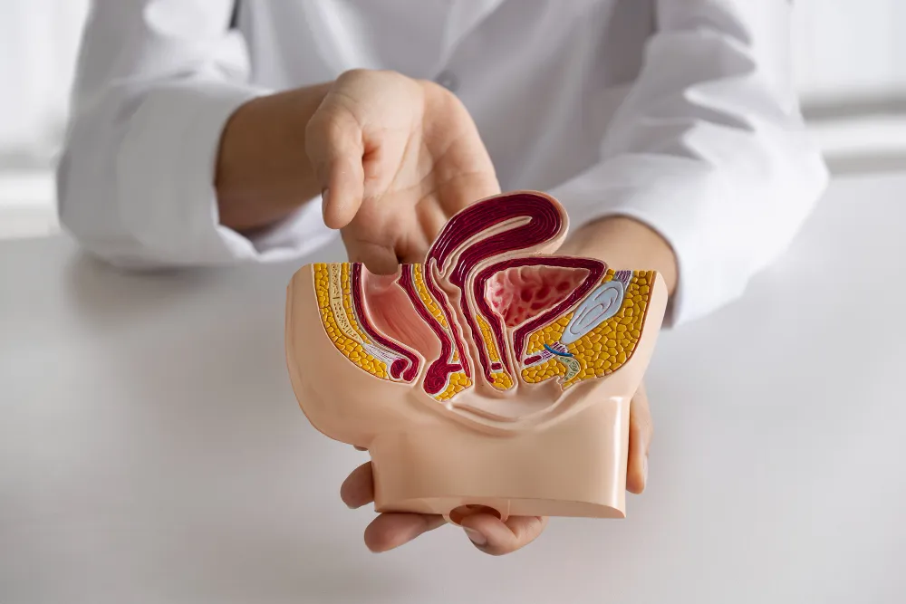 medicos urologos en mexico